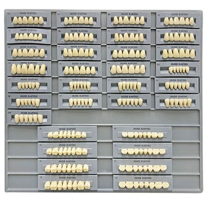 Kaifeng Living Mould Guide A2