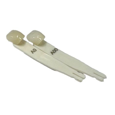 Maist Shade Guides