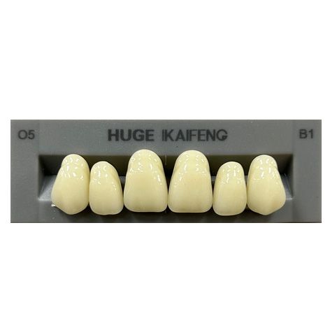 Anterior Kaifeng B1-O5