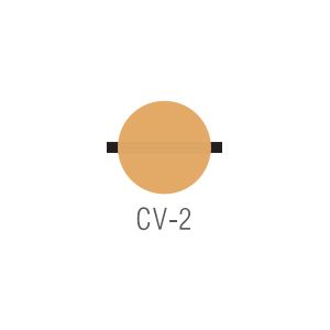 Noritake CZR Cervical CV2 10g