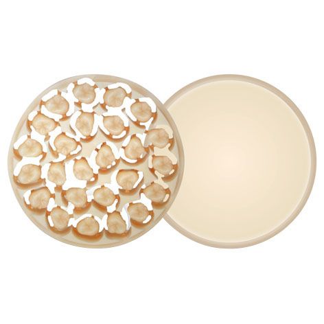 Ambarino Hybrid Ceramic 98 Multilayer