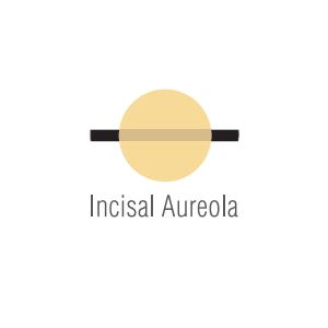 Noritake CZR Luster Incisal Aureola 10g