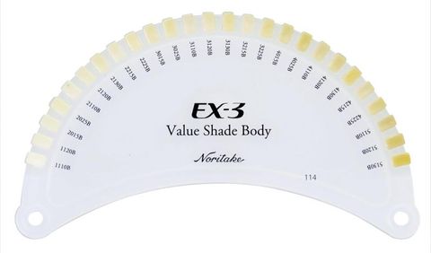 EX3 Value Shade Body Color Guides