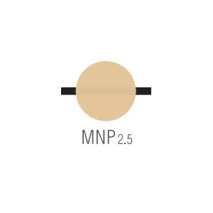 Noritake CZR Margin MNP2.5 10g