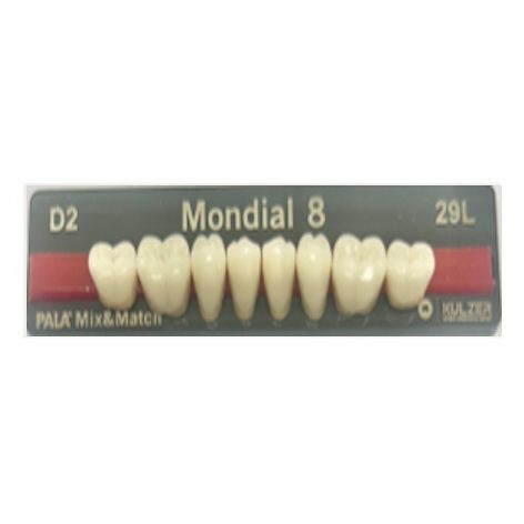 Mondial Shade D2 Posterior