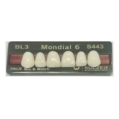 Mondial Shade BL3 Anterior