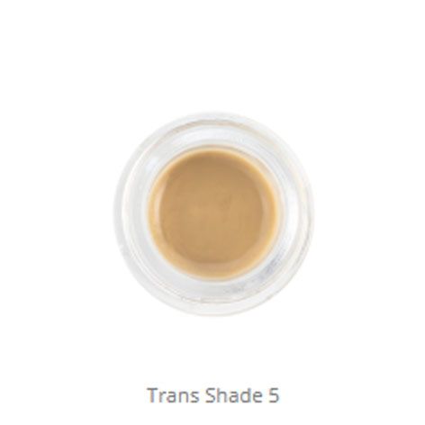 MiYO 3D Trans Shade 5 Fluor Paste 4g