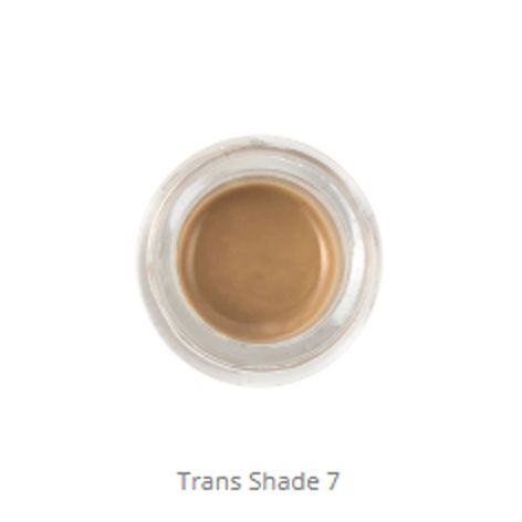 MiYO 3D Trans Shade 7 Fluor Paste 4g