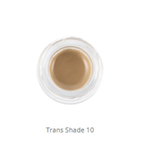 MiYO 3D Trans Shade 10 Fluor Paste 4g