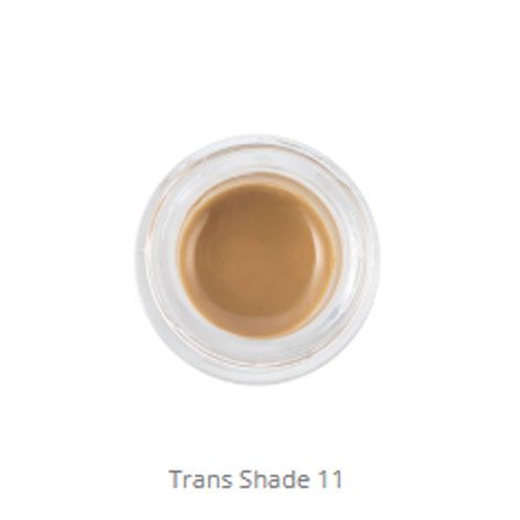 MiYO 3D Trans Shade 11 Fluor Paste 4g