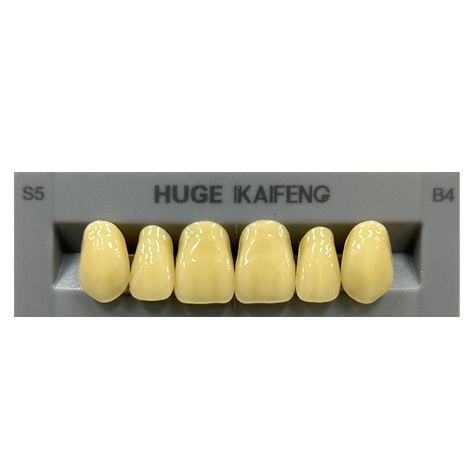 Anterior Kaifeng B4-S5