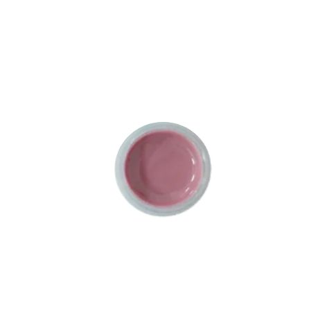 Aidite Biomic Pink R Gum Refill