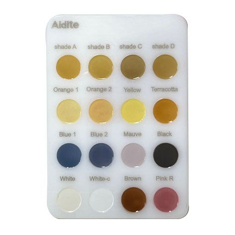 Aidite Biomic Aesthetic Stain Shade Guide