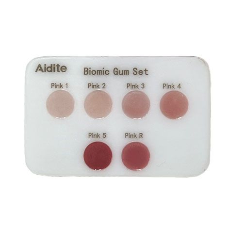 Aidite Biomic Gum Shade Guide