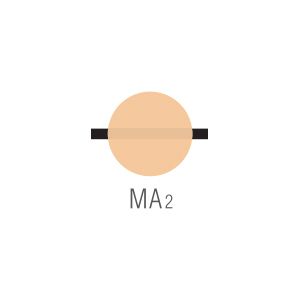 Noritake CZR Margin MA2 10g