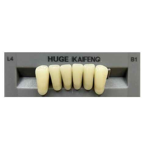 Anterior Kaifeng B1-L4