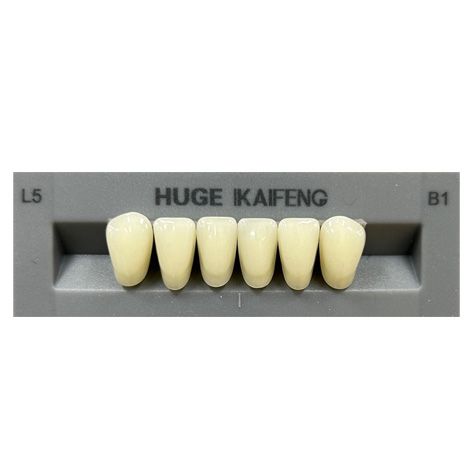 Anterior Kaifeng B1-L5