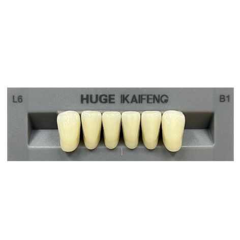 Anterior Kaifeng B1-L6