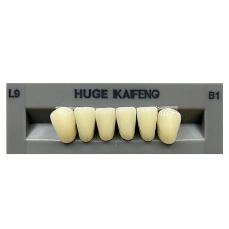 Anterior Kaifeng B1-L9