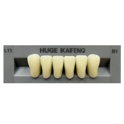 Anterior Kaifeng B1-L11