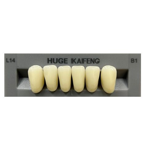 Anterior Kaifeng B1-L14