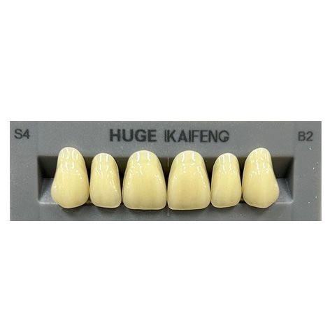 Anterior Kaifeng B2-S4