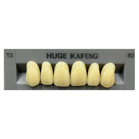 Anterior Kaifeng B2-T3