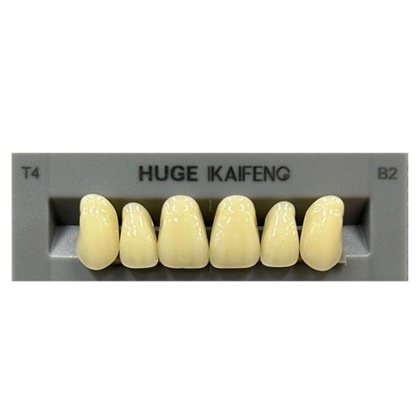 Anterior Kaifeng B2-T4