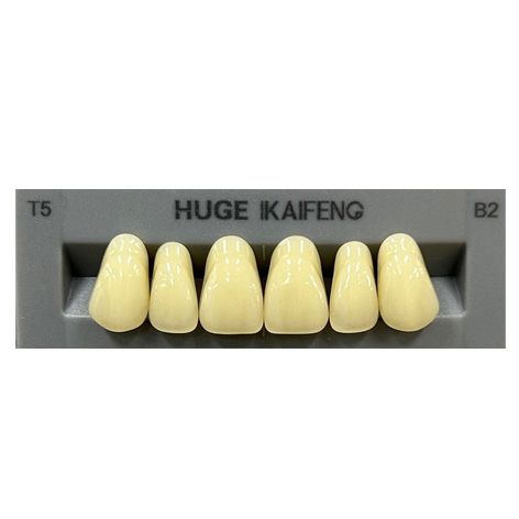 Anterior Kaifeng B2-T5