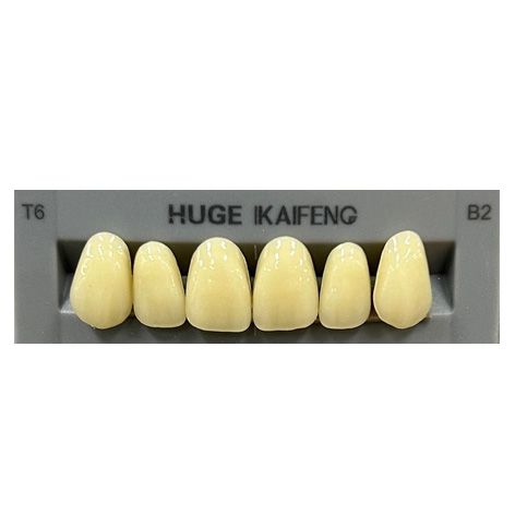 Anterior Kaifeng B2-T6