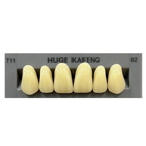 Anterior Kaifeng B2-T11