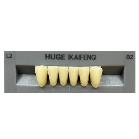Anterior Kaifeng B2-L2