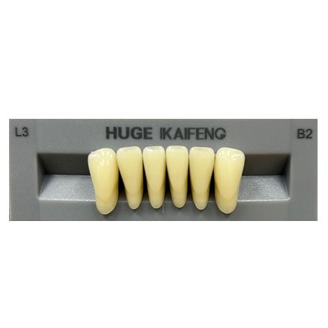 Anterior Kaifeng B2-L3