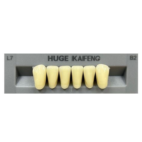 Anterior Kaifeng B2-L7