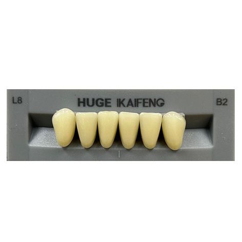 Anterior Kaifeng B2-L8