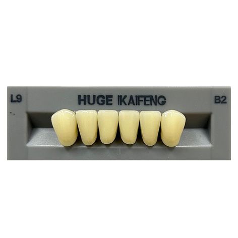 Anterior Kaifeng B2-L9