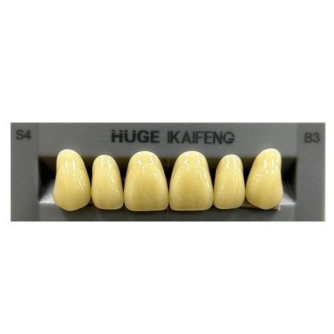 Anterior Kaifeng B3-S4