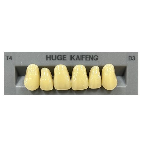 Anterior Kaifeng B3-T4