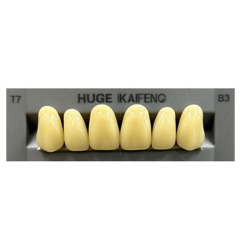 Anterior Kaifeng B3-T7