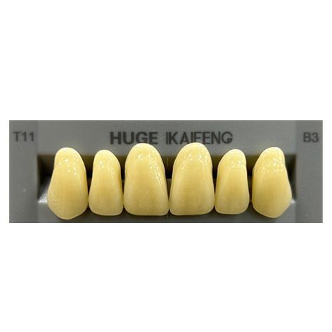 Anterior Kaifeng B3-T11