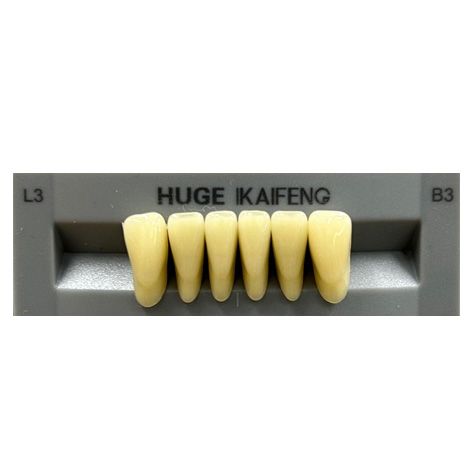 Anterior Kaifeng B3-L3