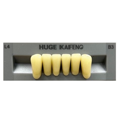 Anterior Kaifeng B3-L4