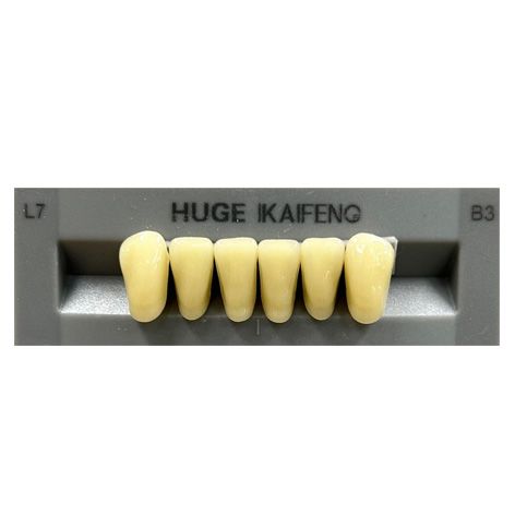 Anterior Kaifeng B3-L7