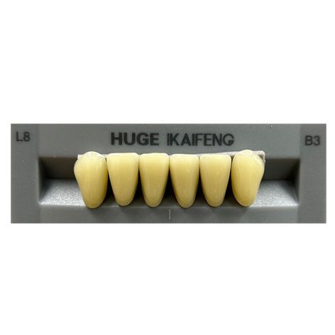 Anterior Kaifeng B3-L8