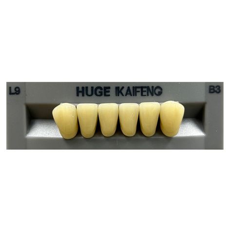 Anterior Kaifeng B3-L9