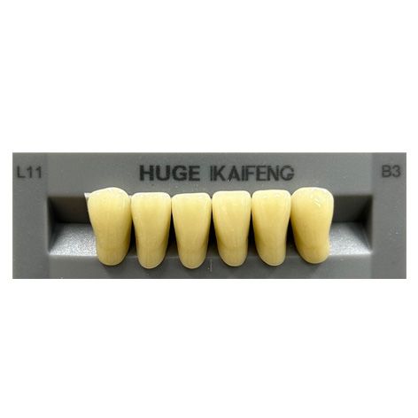 Anterior Kaifeng B3-L11