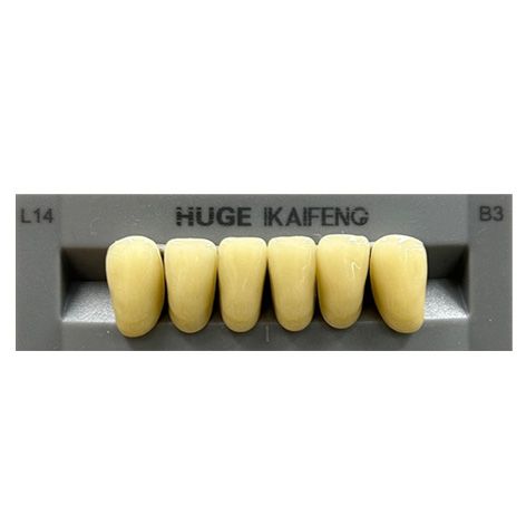 Anterior Kaifeng B3-L14