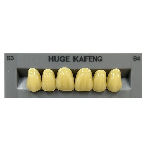 Anterior Kaifeng B4-S3