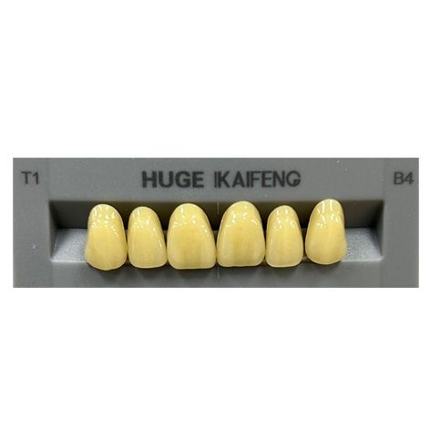 Anterior Kaifeng B4-T1