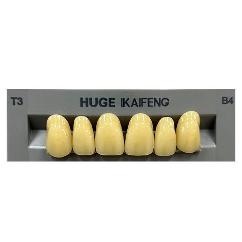 Anterior Kaifeng B4-T3